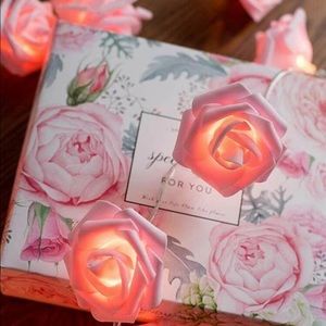 🎊HOST POST🎊Pink Rose Shaped Bulb String Light
